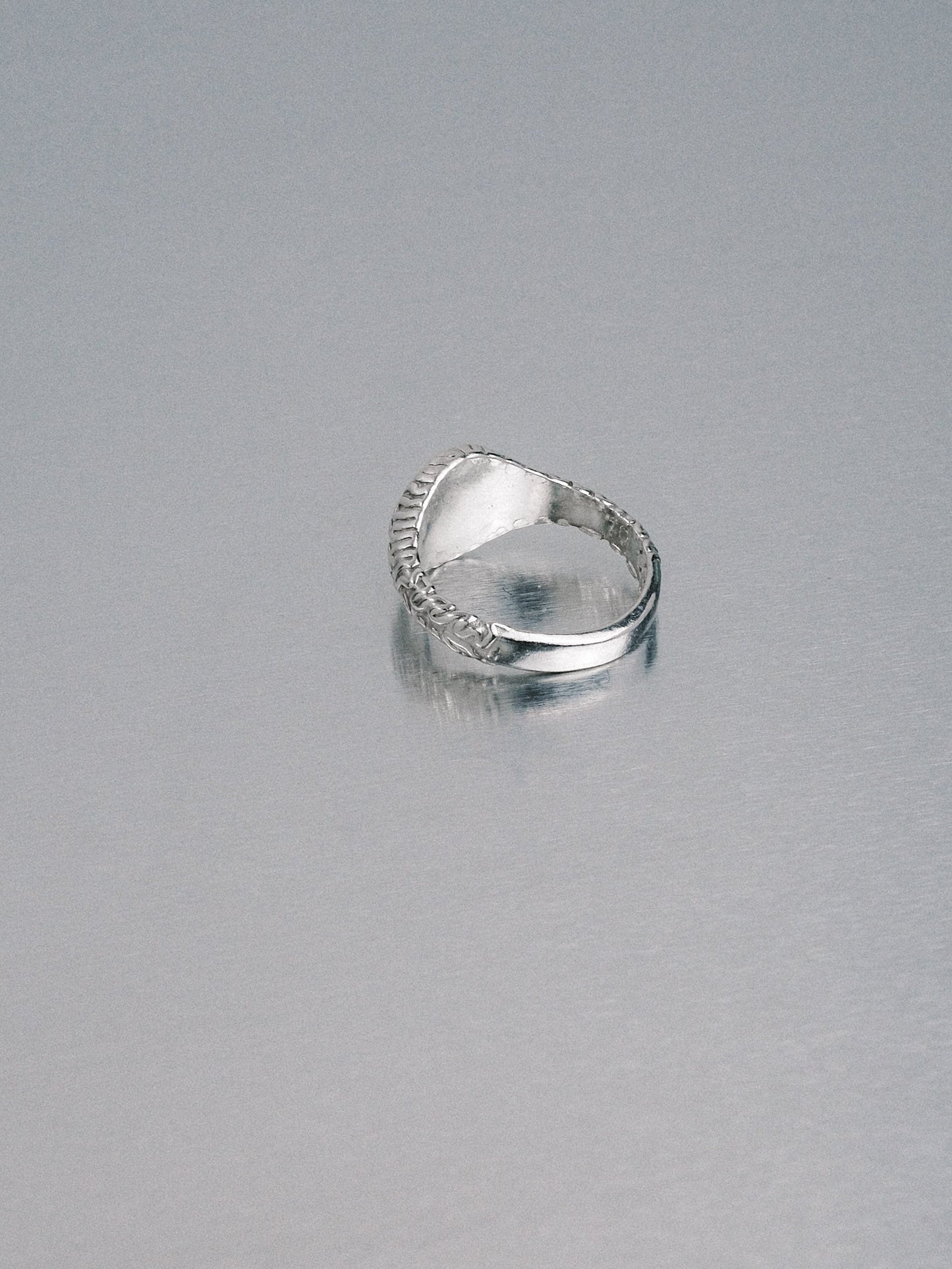 Biomorphic Circle Signet, 925 silver