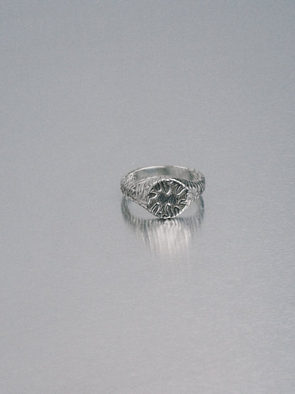 Biomorphic Circle Signet, 925 silver