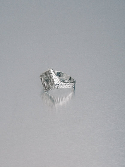 Biomorphic Diamond Signet, 925 silver